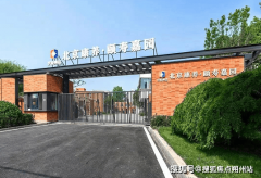 子浓度高达3000个/cm³